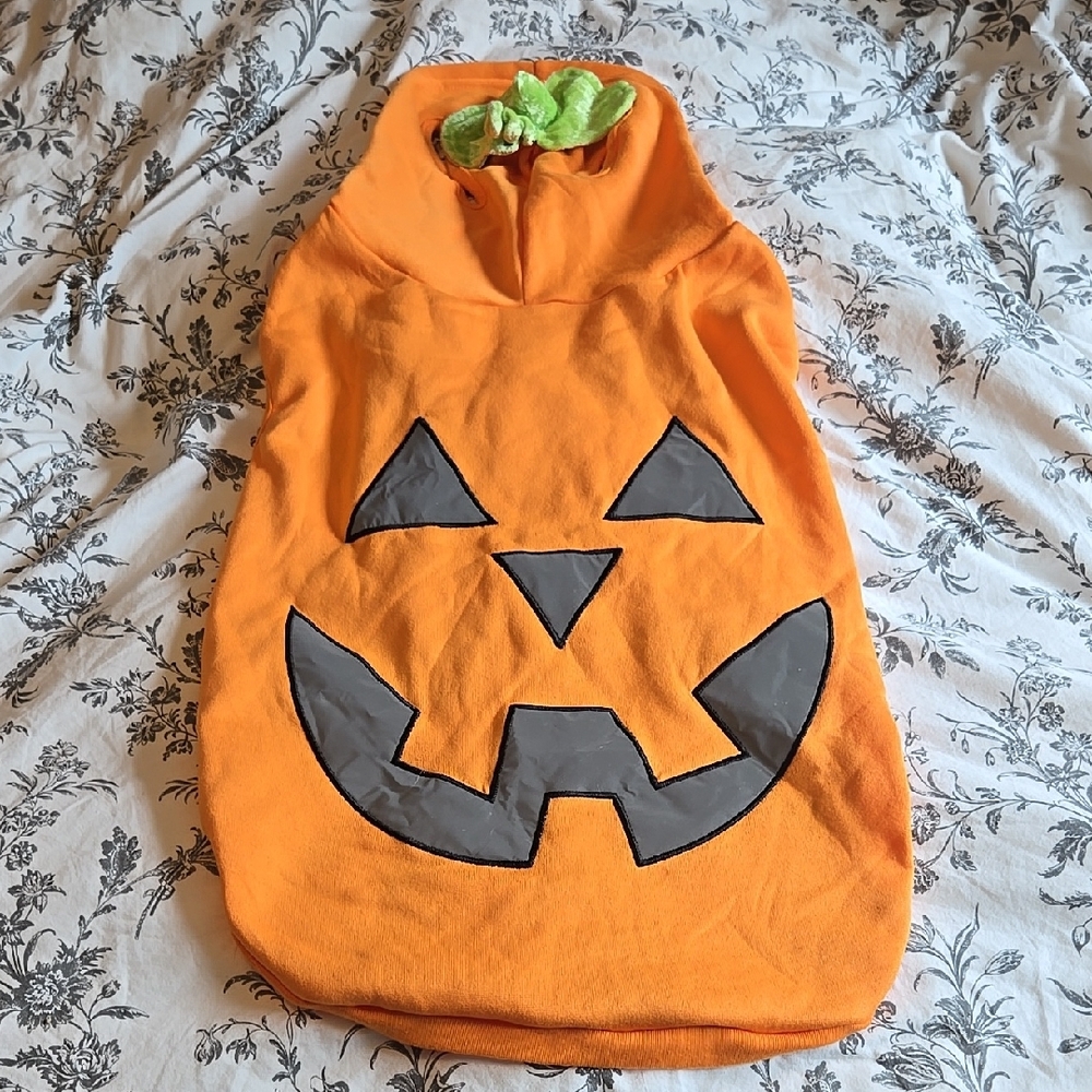 Dog Pumpkin Costume with Green Leaf Detail